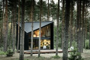 Ferienhaus im Kiefernwald mit schwarzer Holzfassade und schwarzem Aluminiumdach