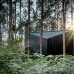 Ferienhaus im Kiefernwald mit schwarzer Holzfassade und schwarzem Aluminiumdach