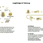Langfristige CO2-Bindung - Konzept für das Technische Verwaltungsgebäude Düsseldorf