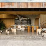 Schafe betreten den Wohnbereich eines Einfamilienhauses in Kanada