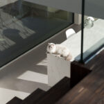 Katze im Scheunenhaus von Objekt Architecten