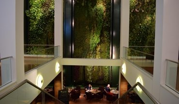 Vertikaler Garten im Dussmann-Haus ist Innenraumbegrünung des Jahres 2018