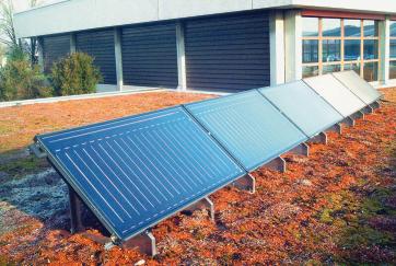 Dachbegrünung und Solarenergie
