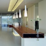 Die Beleuchtungslösung mit der Lichtdecke unterstreicht die klare Architektur. Bilder: Rupert Steiner
