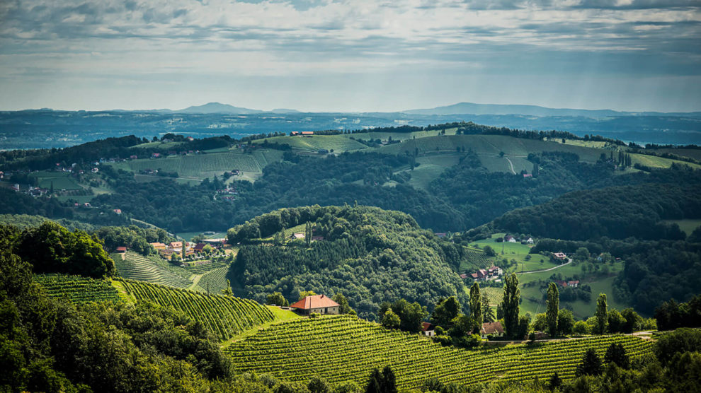 Hygienische Edelstahl-Rohrleitungstechnik für Weingut in der Steiermark