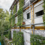 Drei verschiedene Vertikalbegrünungssysteme aus dem Helix Pflanzen Programm kamen beim Impulsprojekt in Stuttgart zum Einsatz