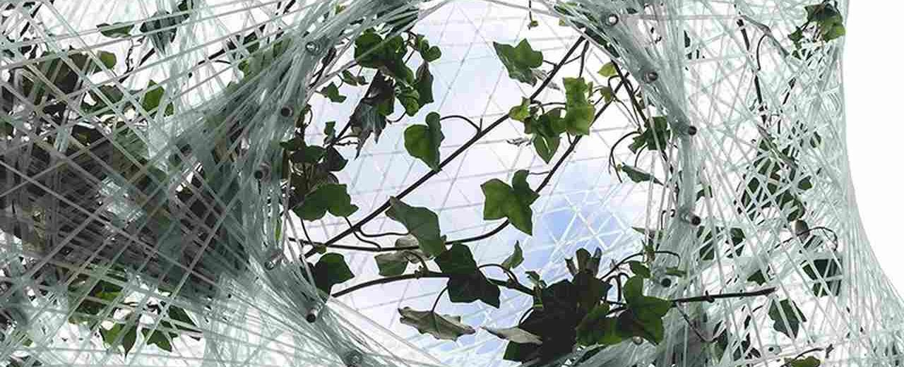 Beim Projekt Urban Micro Climate Canopy (UMCC) wachsen Kletterpflanzen auf einer Struktur aus harzgetränkten Glasfaserbündeln und erzeugen so eine künstliche Baumkrone. Bild: TUM