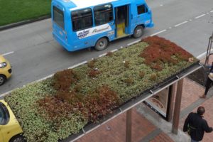 Die Dachbegrünung der 316 Bushaltestellen in der niederländischen Stadt Utrecht soll zu einem besseren Stadtklima und mehr Artenschutz beitragen. Bild: BuGG