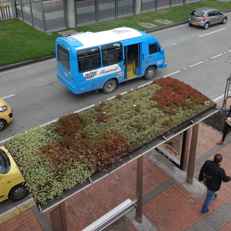 Die Dachbegrünung der 316 Bushaltestellen in der niederländischen Stadt Utrecht soll zu einem besseren Stadtklima und mehr Artenschutz beitragen. Bild: BuGG