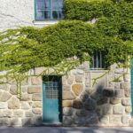 Naturdenkmal: Grünfassade aus wildem Wein am Bildhauereigebäude der Akademie der bildenden Künste in Wien