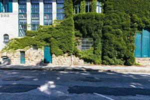 Naturdenkmal: Grünfassade aus wildem Wein am Bildhauereigebäude der Akademie der bildenden Künste in Wien