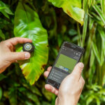 Farbton-Scanner Color Diamond mini und Pflanzen