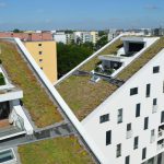 Fachseminar Dachbegrünung 2017. Foto: Optigrün