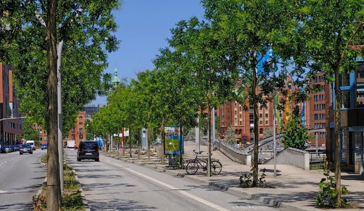 Forschungsprojekt »BlueGreenStreets«: Mehr Stadtgrün und Wasserflächen im Straßenraum