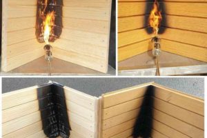 Regionales Bauholz mit Brandschutz-Eigenschaften