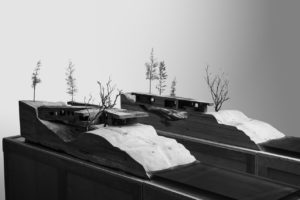 Architekturmodell zum Projekt 91 von Omer Arbel - Zedernholzbrücke