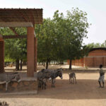 Gando Primary School in Burkina Faso von Francis Kéré