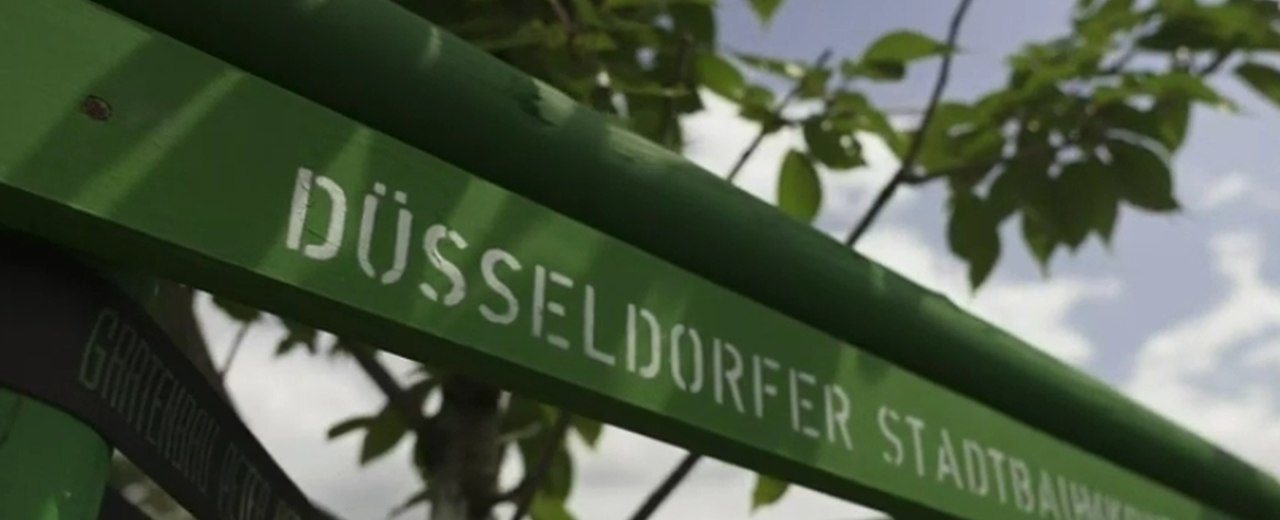 Zukunftsbäume beim Stadtbaumkonzept in Düsseldorf