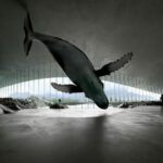 Museum »The Whale« auf den Lofoten in Nordnorwegen von Dorte Mandrup