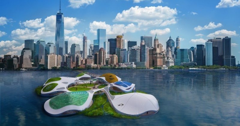 Schwimmendes Biotop vor Manhattan