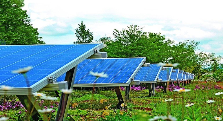 Photovoltaik und Dachbegrünung. Bild: Bauder