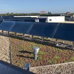 2 500 m² Extensivbegrünung sind auf den Gebäudedächern der Noltemeyer Höfe mit Solarflächen kombiniert