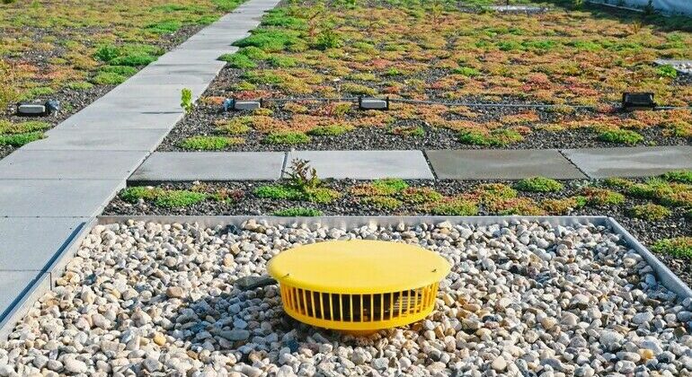 Vorne gelbe runde Dose auf Kies, dahinter Begrünung auf Flachdach mit Wegen: Notentwässerung und Hauptentwässerung.