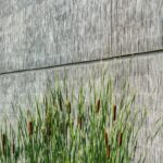 Grünes Gras an bläulich-grauer Wand mit Querfuge. Strukturen sind durch entsprechende Schalung entstanden.