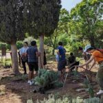 Junge Menschen bei gemeinsamer Pflanzaktion von klimaresilienten Bäumen und Sträuchern