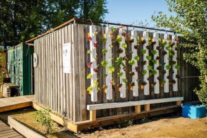 Mobile Hydroponik-Farm für vertikalen Gemüseanbau